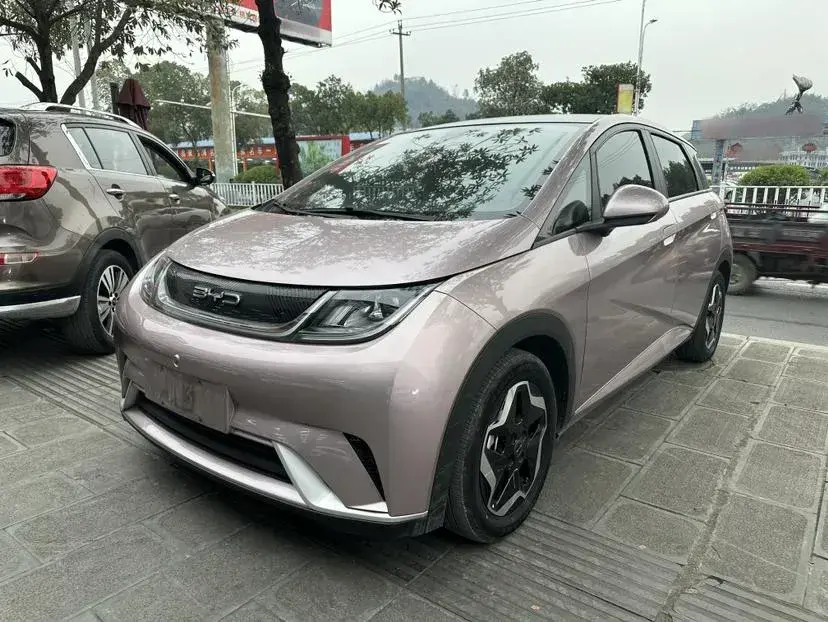 2021 BYD Dolphin BEV 44.9KWH