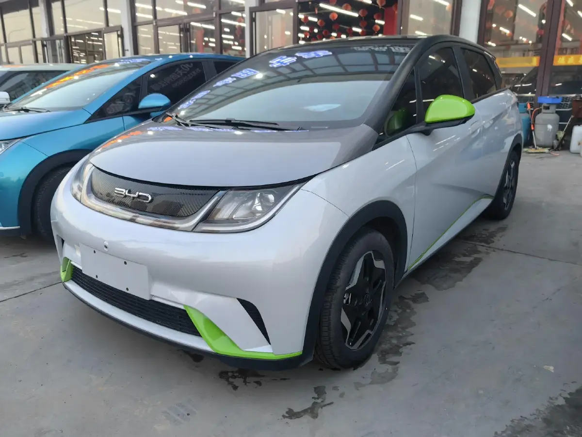 2021 BYD Dolphin BEV 44.9KWH