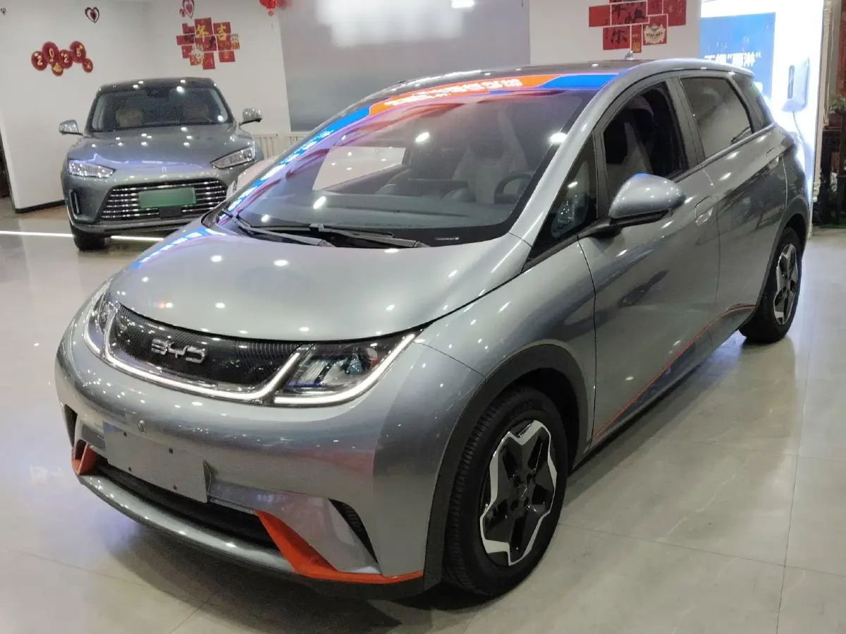 2021 BYD Dolphin BEV 44.9KWH