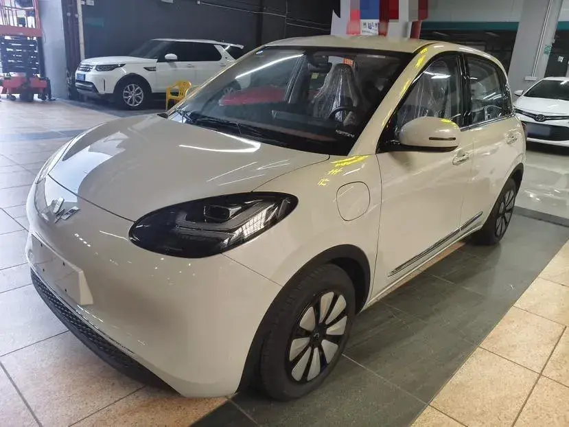 2024 WuLing BinGuo BEV 31.9KWH