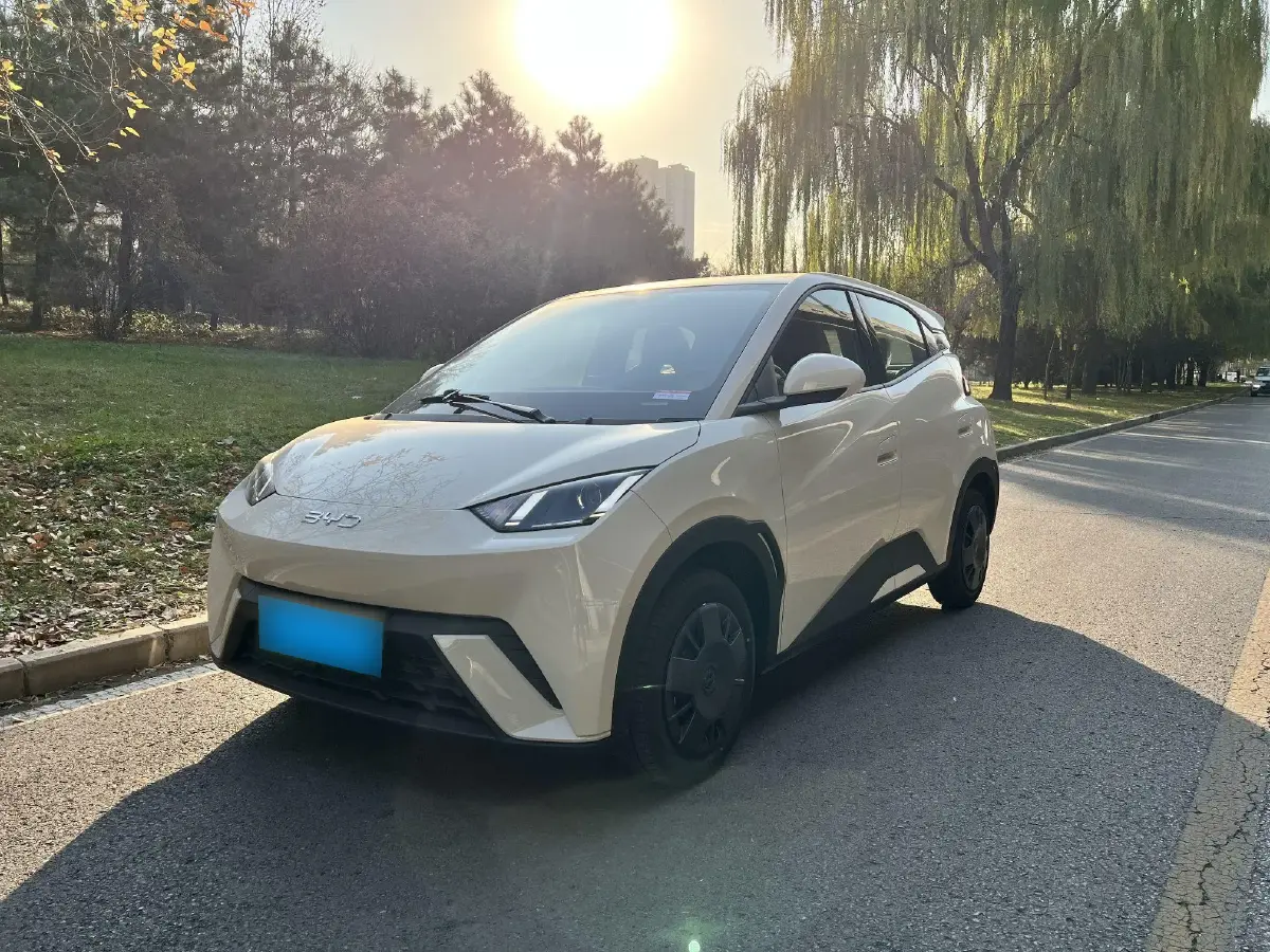 2025 BYD Seagull BEV 30.08KWH