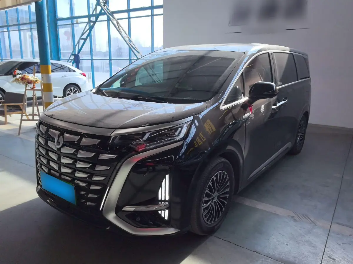 2022 Denza D9 1.5T 139HP L4 E-CVT PHEV 40.06KWH