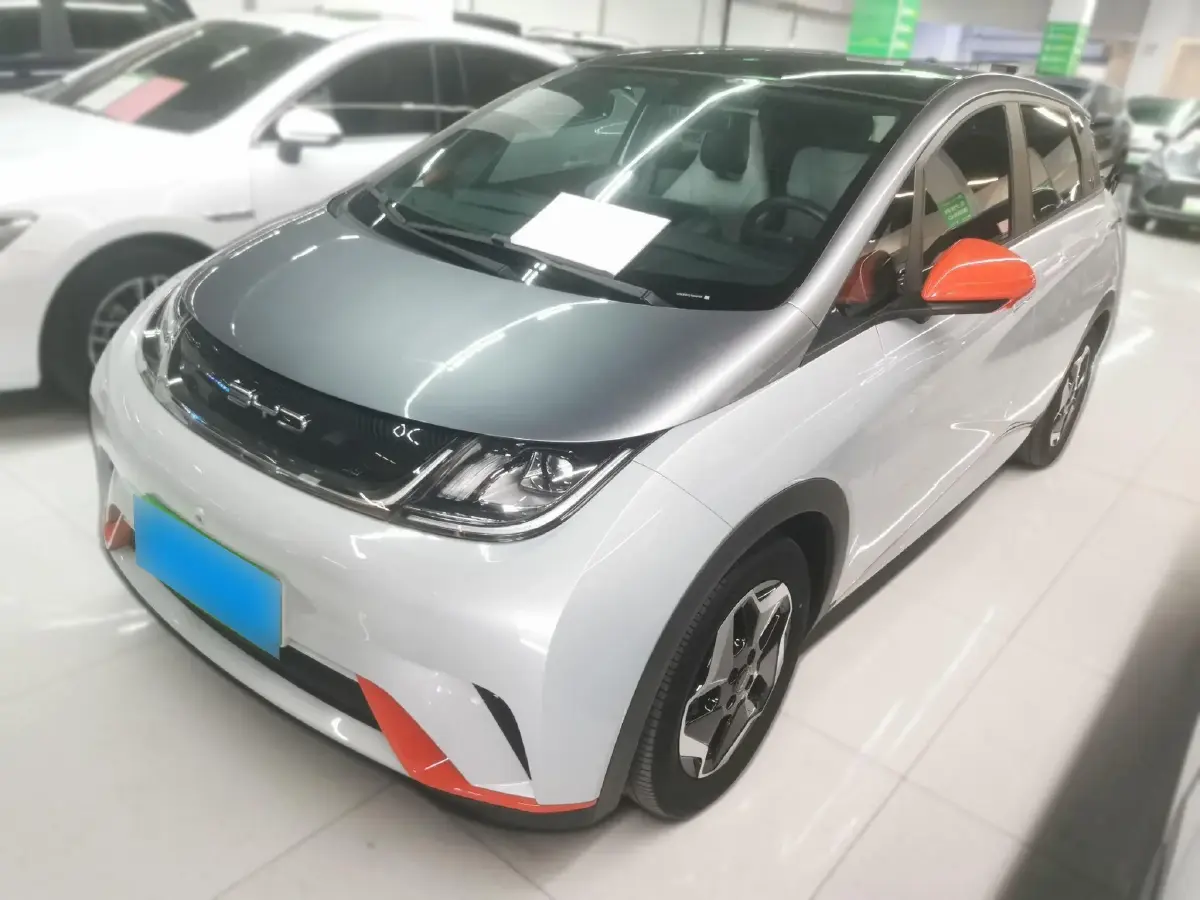 2021 BYD Dolphin BEV 44.9KWH