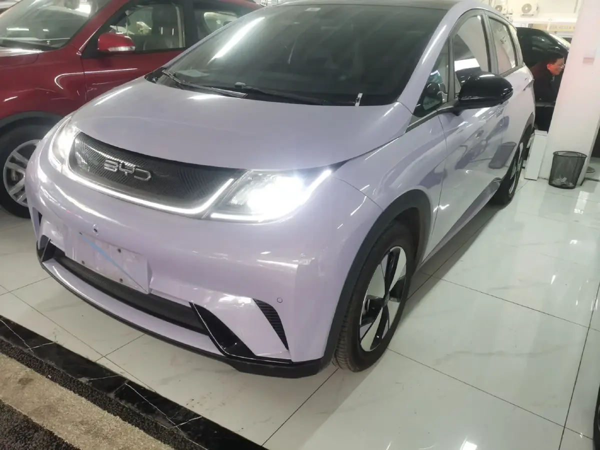 2021 BYD Dolphin BEV 44.9KWH