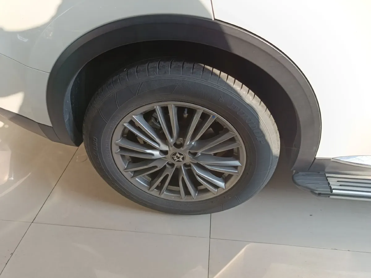 2021 Venucia Star 1.5T 190HP L4 7DCT,autocango,china used car exporter,china ev exporter,chinese used car exporter,chinese used ev exporter