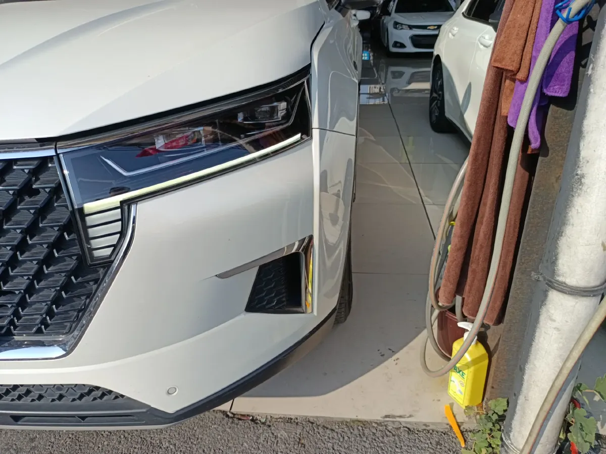 2021 Venucia Star 1.5T 190HP L4 7DCT,autocango,china used car exporter,china ev exporter,chinese used car exporter,chinese used ev exporter