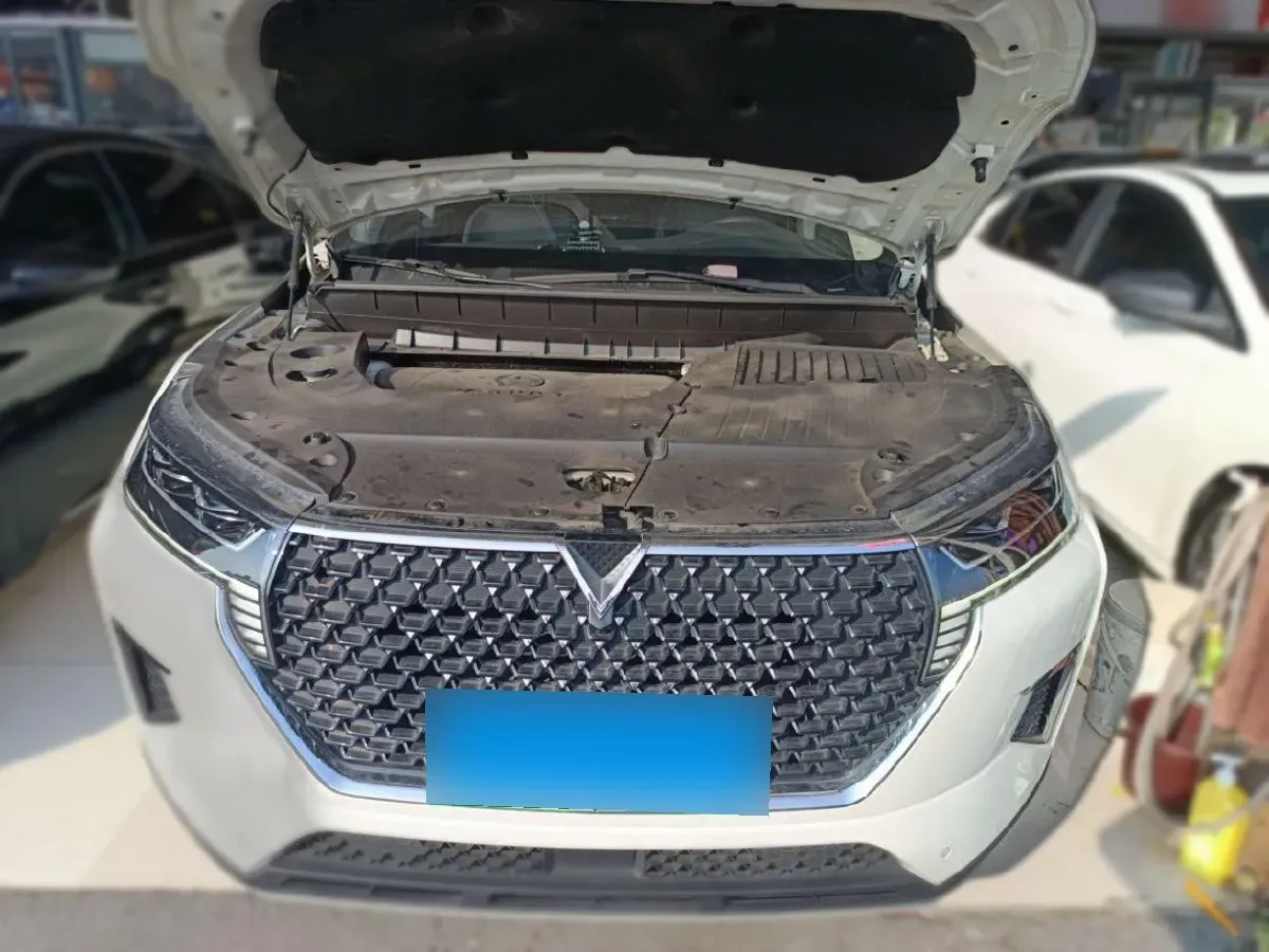 2021 Venucia Star 1.5T 190HP L4 7DCT,autocango,china used car exporter,china ev exporter,chinese used car exporter,chinese used ev exporter