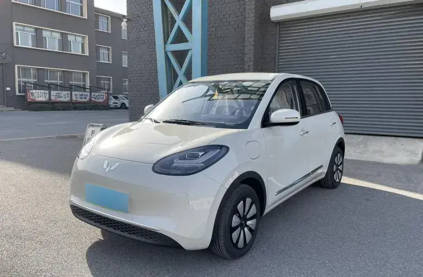 2024 WuLing BinGuo BEV 31.9KWH