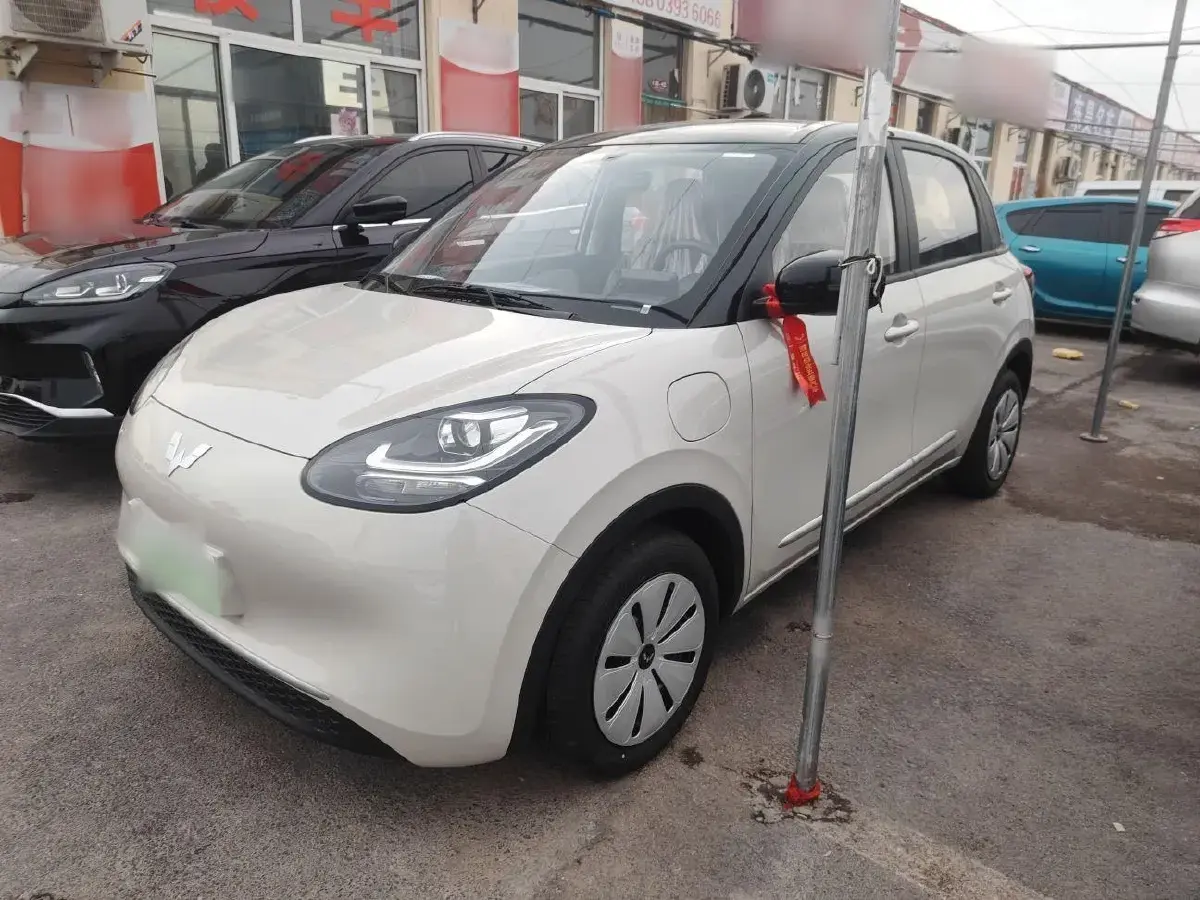 2024 WuLing BinGuo BEV 17.3KWH