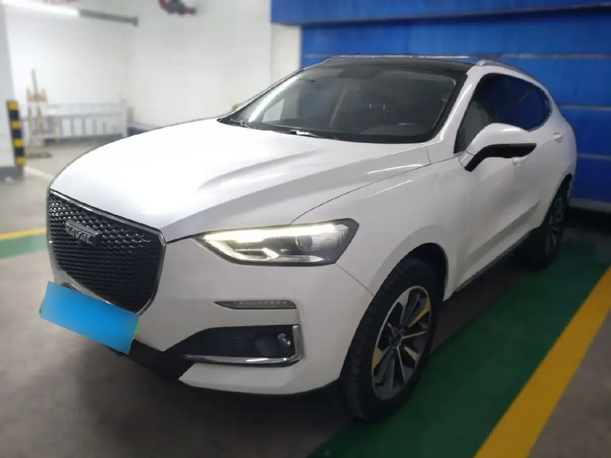 2019 Haval F5 1.5T 169HP L4 7DCT