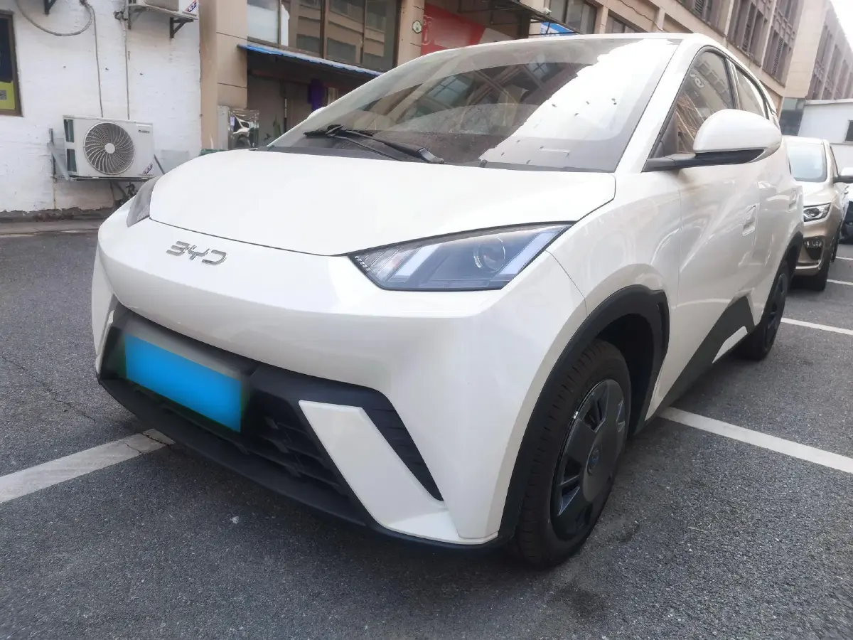 2025 BYD Seagull BEV 30.08KWH