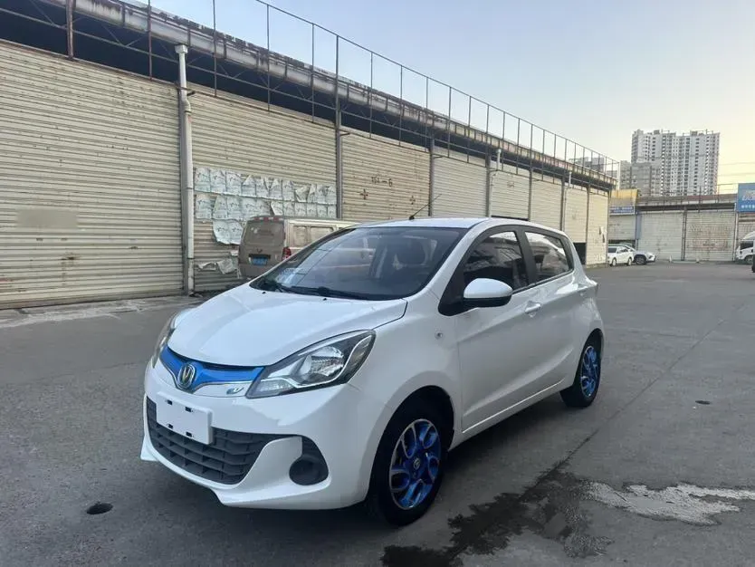 2018 ChangAn BenBen EV BEV 31KWH,autocango,china used car exporter,china ev exporter,chinese used car exporter,chinese used ev exporter