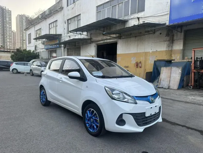 2018 ChangAn BenBen EV BEV 31KWH,autocango,china used car exporter,china ev exporter,chinese used car exporter,chinese used ev exporter