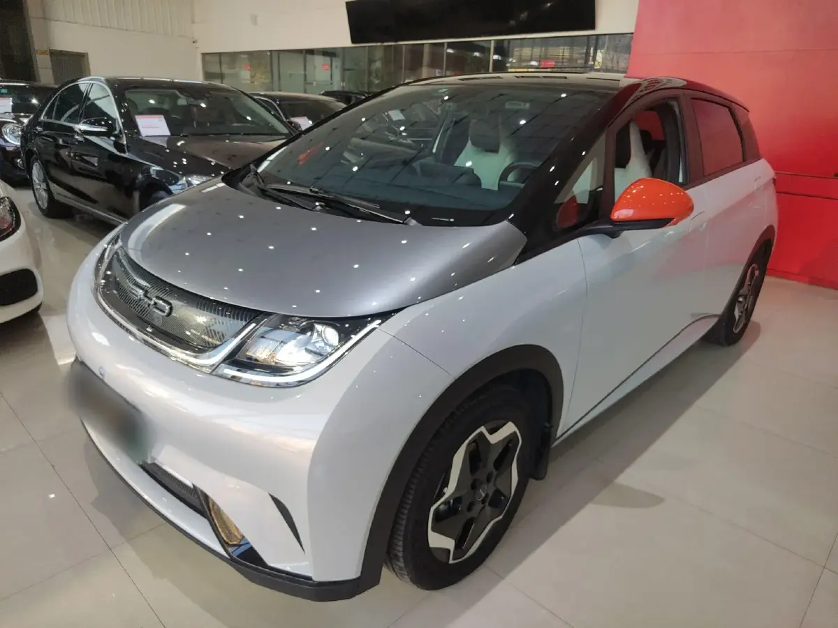 2021 BYD Dolphin BEV 44.9KWH