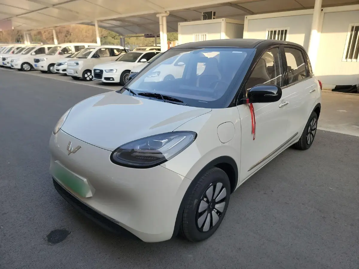 2024 WuLing BinGuo BEV 31.9KWH