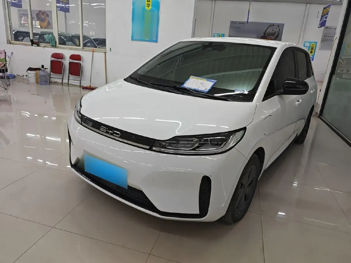 2022 BYD D1 BEV 53.6KWH