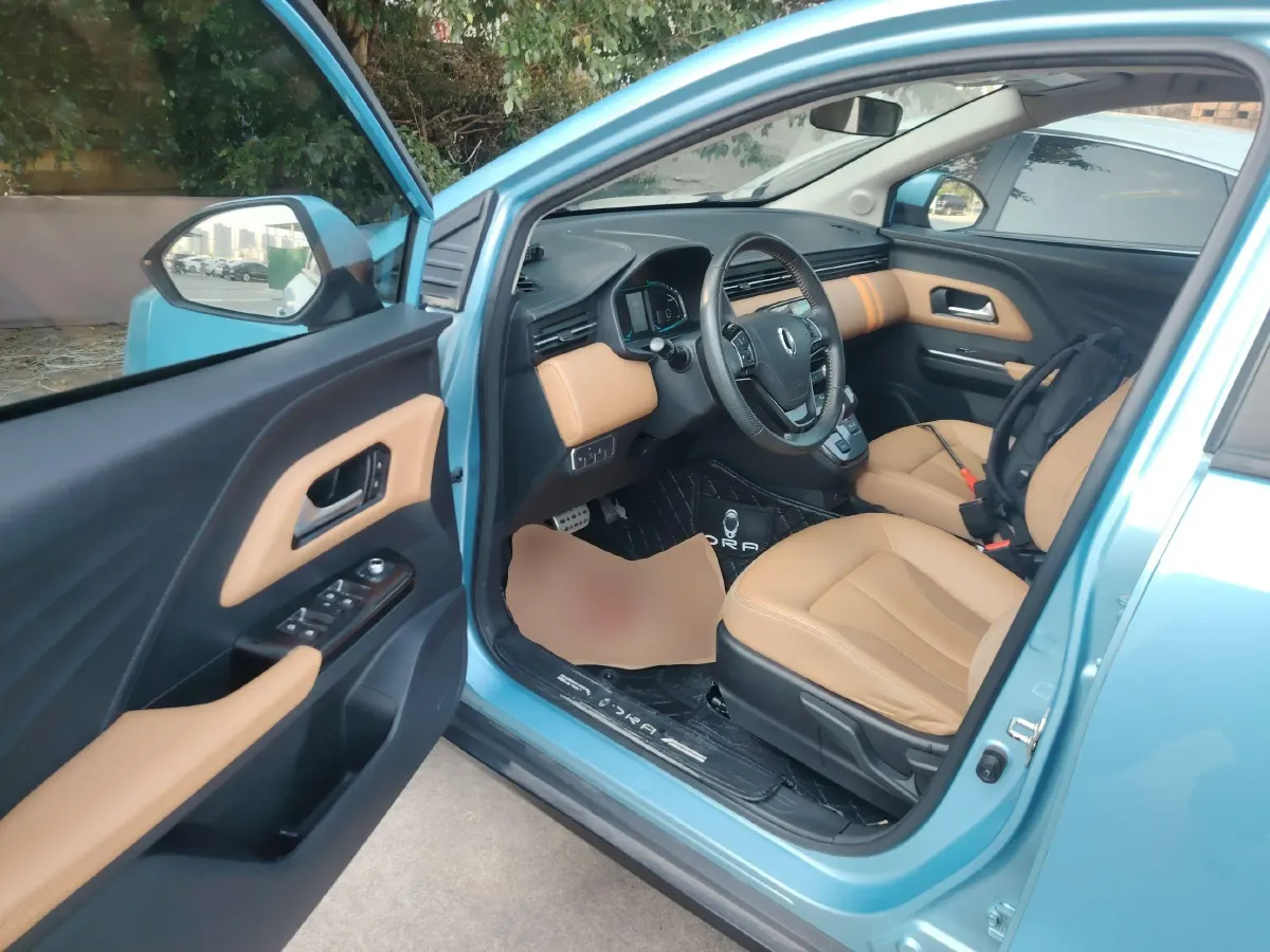 2018 Ora iQ BEV 46.57KWH,autocango,china used car exporter,china ev exporter,chinese used car exporter,chinese used ev exporter