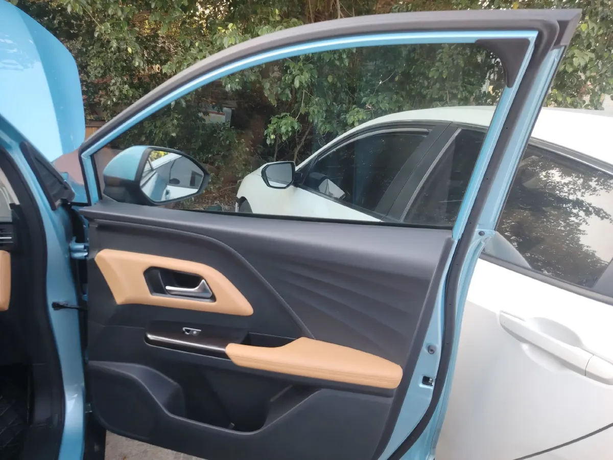 2018 Ora iQ BEV 46.57KWH,autocango,china used car exporter,china ev exporter,chinese used car exporter,chinese used ev exporter