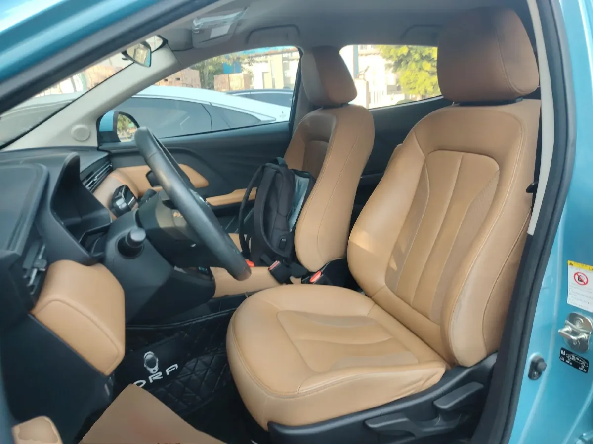 2018 Ora iQ BEV 46.57KWH,autocango,china used car exporter,china ev exporter,chinese used car exporter,chinese used ev exporter