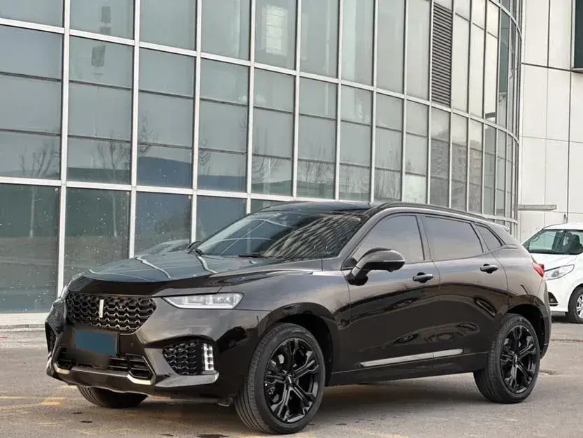 2019 WEY VV7 2.0T 234HP L4 7DCT