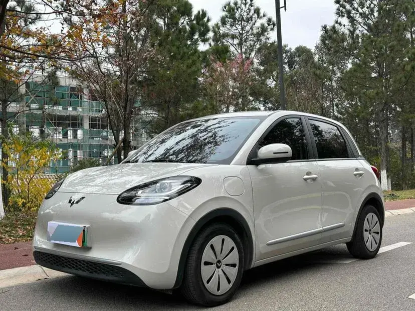 2023 WuLing BinGuo BEV 31.9KWH