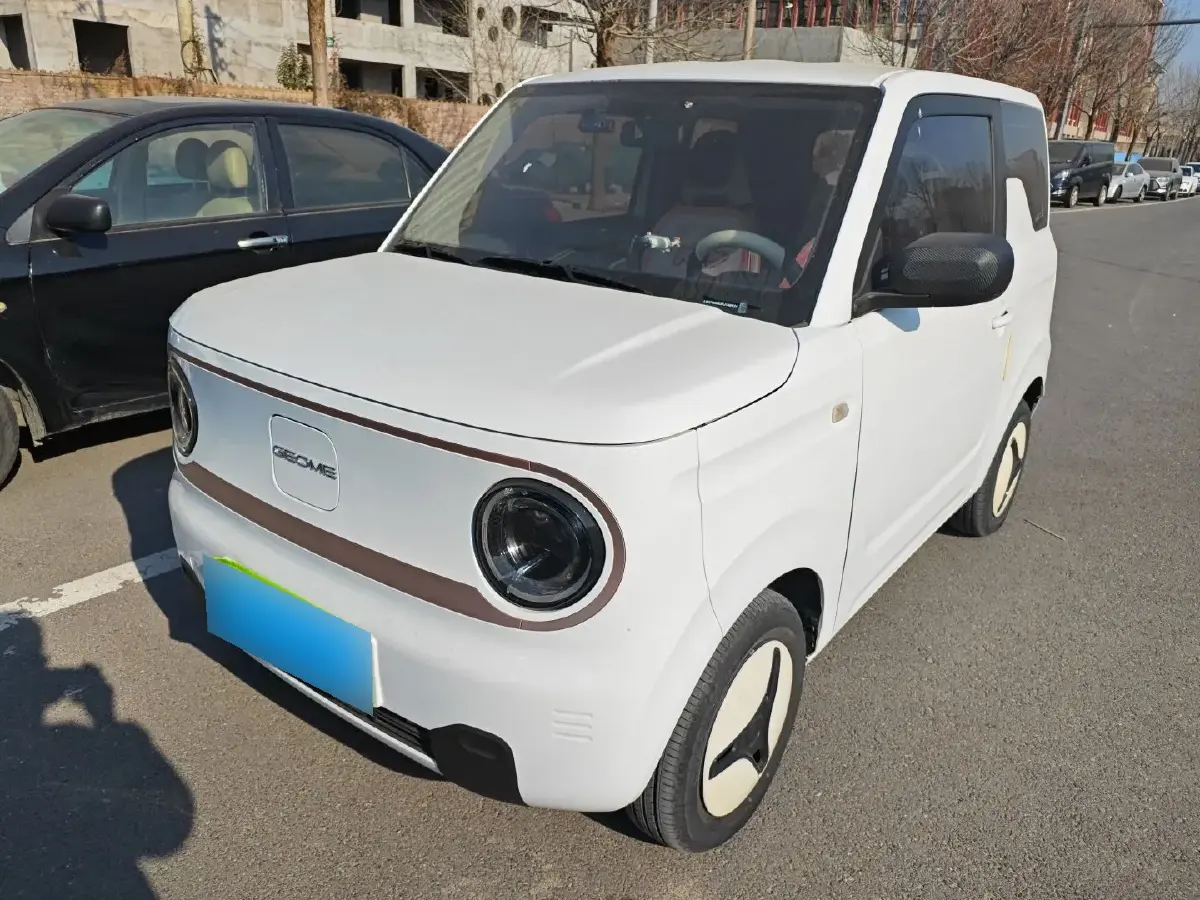 2023 Geely Panda BEV 17.03KWH