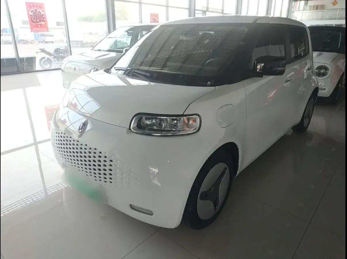 2020 Ora WhiteCat BEV 36KWH