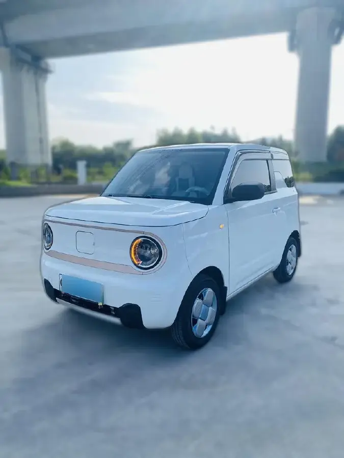 2023 Geely Panda BEV 17.03KWH