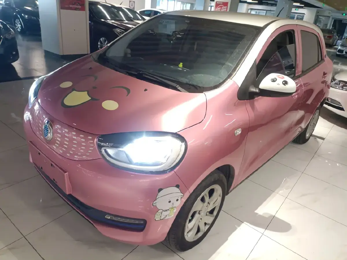 2020 Zedriv GC1 BEV 36.2KWH