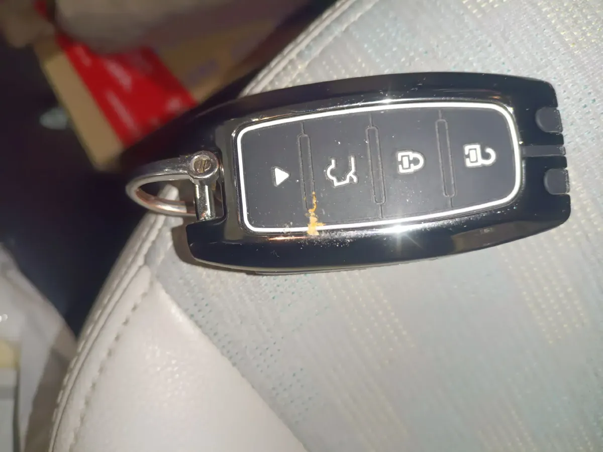 2020 Zedriv GC1 BEV 36.2KWH,autocango,china used car exporter,china ev exporter,chinese used car exporter,chinese used ev exporter