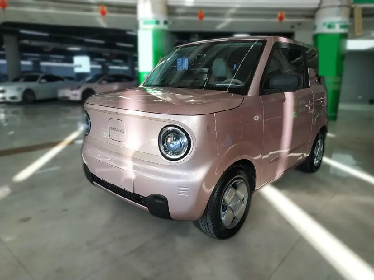2023 Geely Panda BEV 17.03KWH