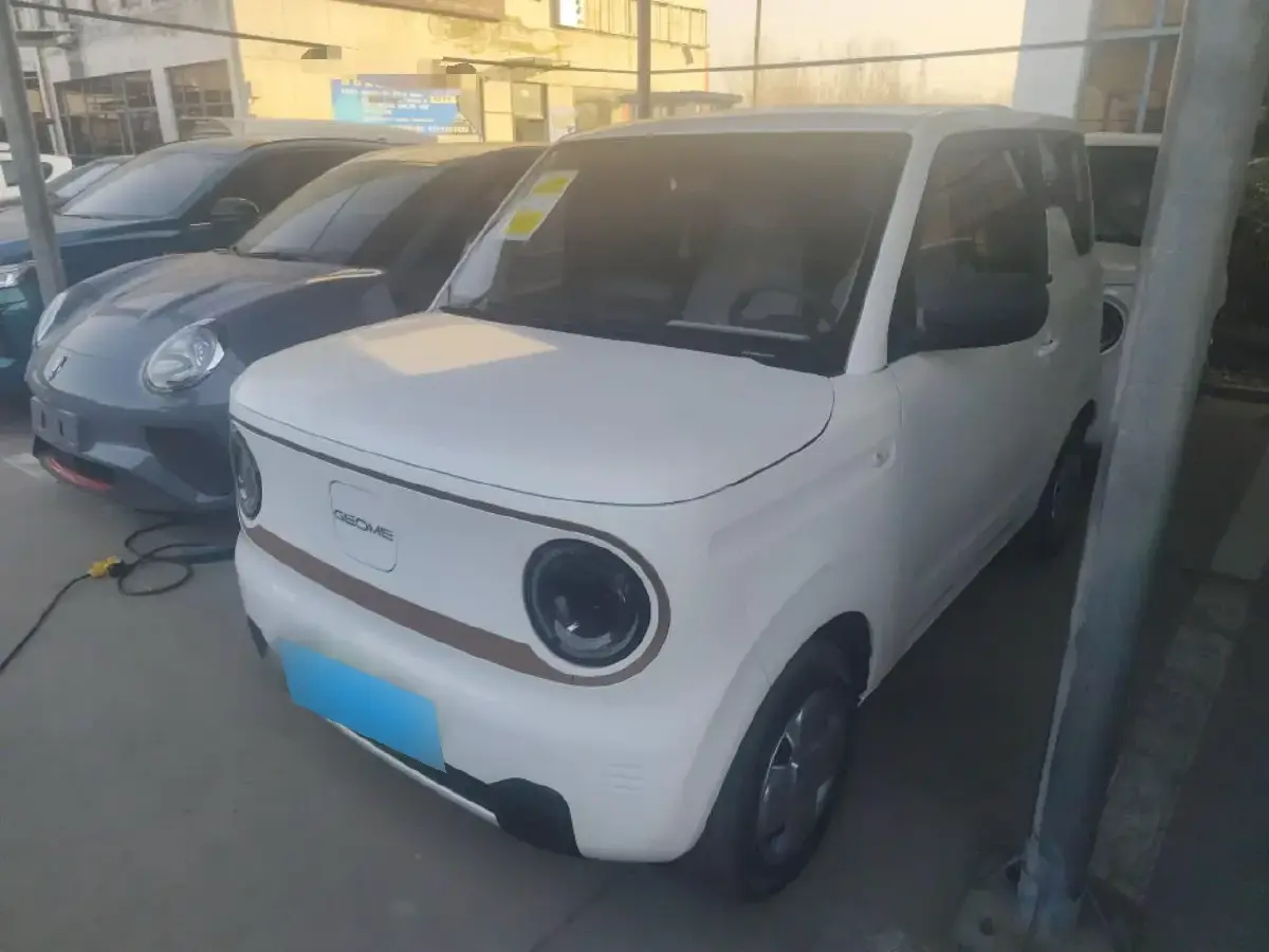 2024 Geely Panda BEV 17.03KWH