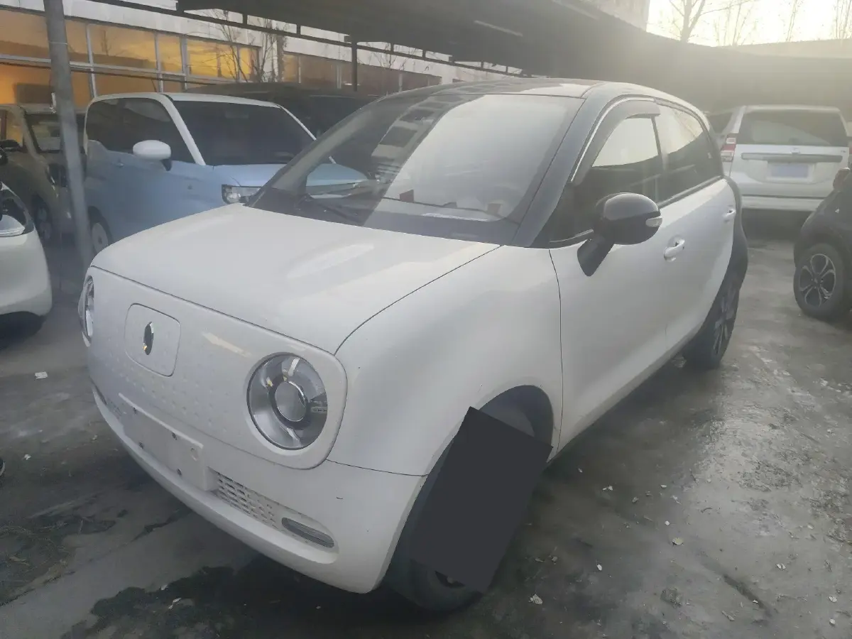 2019 Ora BlackCat BEV 33KWH