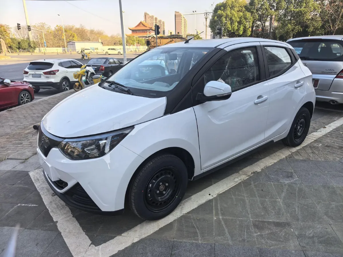 2024 JMEV Little Kylin BEV 15.86KWH,autocango,china used car exporter,china ev exporter,chinese used car exporter,chinese used ev exporter