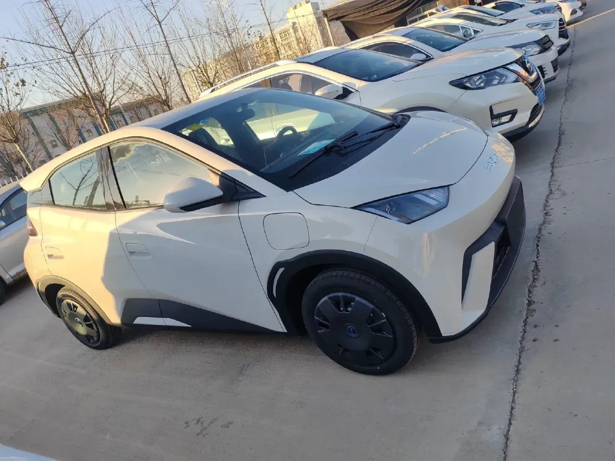 2025 BYD Seagull BEV 30.08KWH,autocango,china used car exporter,china ev exporter,chinese used car exporter,chinese used ev exporter