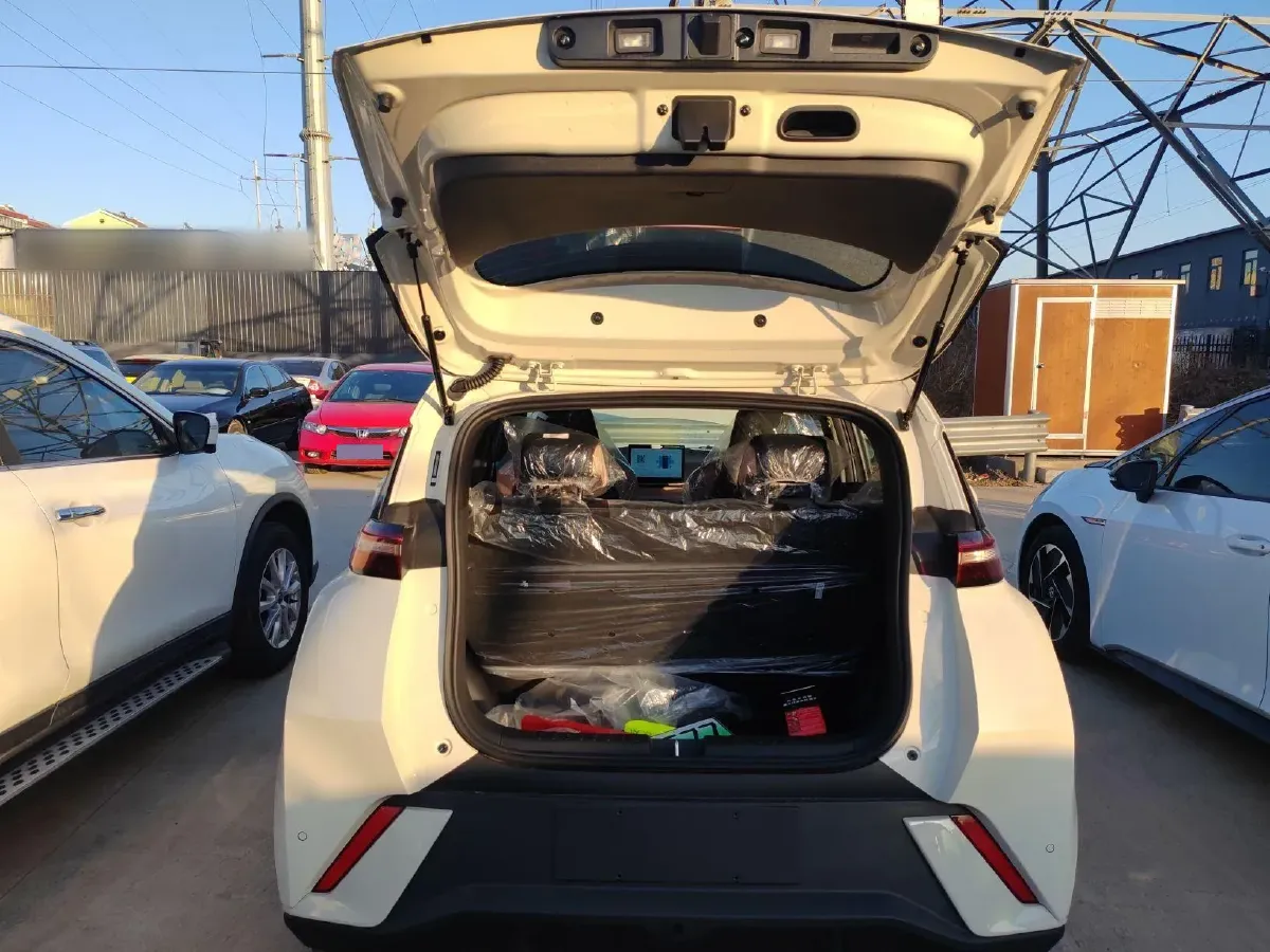 2025 BYD Seagull BEV 30.08KWH,autocango,china used car exporter,china ev exporter,chinese used car exporter,chinese used ev exporter