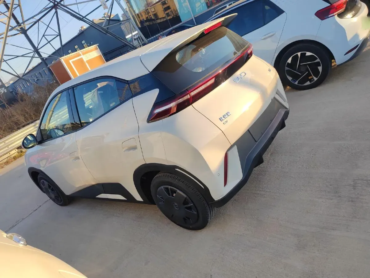 2025 BYD Seagull BEV 30.08KWH,autocango,china used car exporter,china ev exporter,chinese used car exporter,chinese used ev exporter