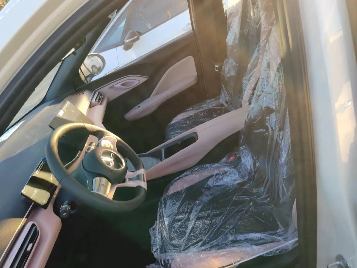 2025 BYD Seagull BEV 30.08KWH,autocango,china used car exporter,china ev exporter,chinese used car exporter,chinese used ev exporter