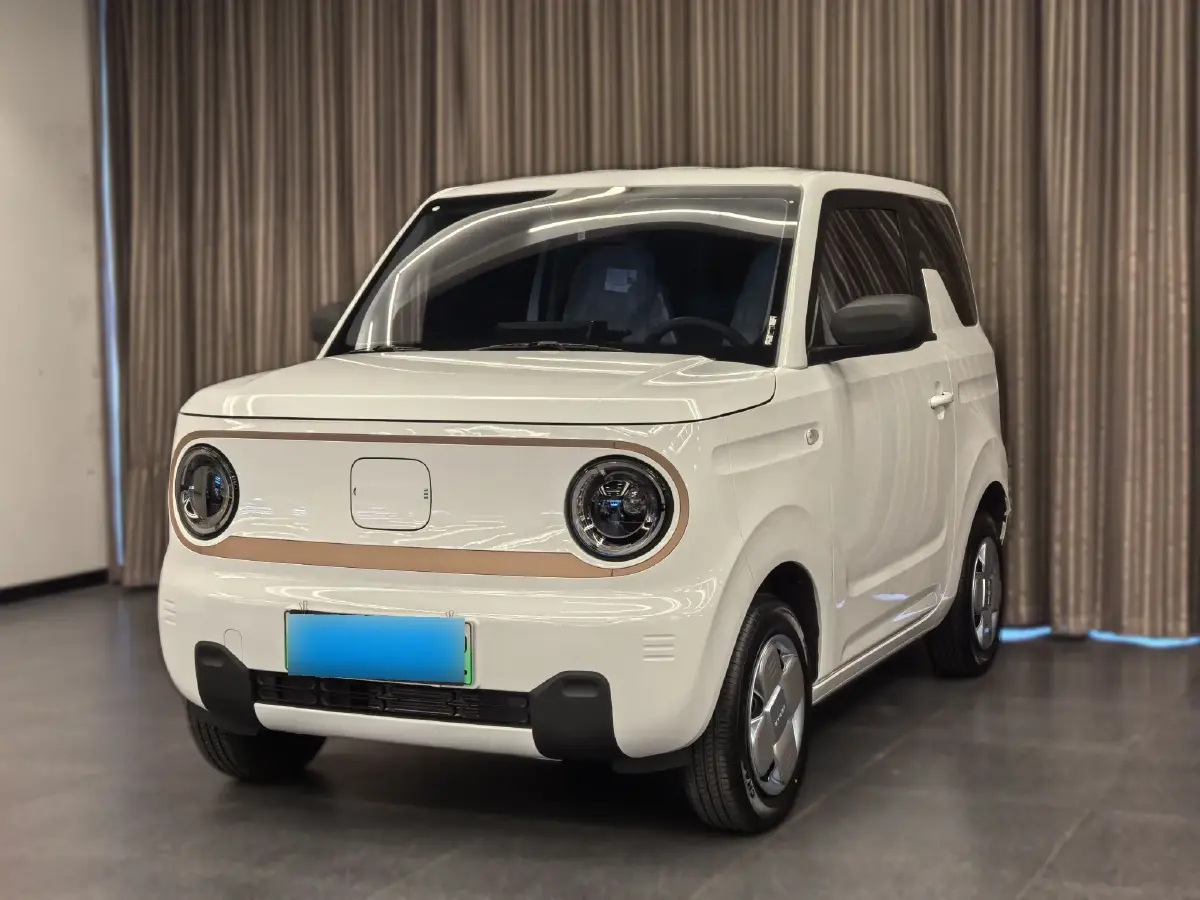 2024 Geely Panda BEV 17.03KWH
