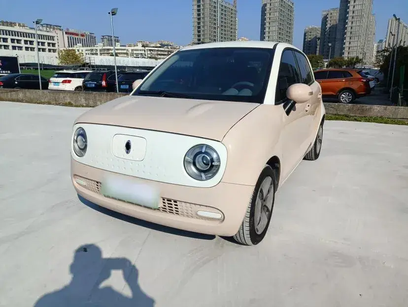 2021 Ora BlackCat BEV 30.3KWH