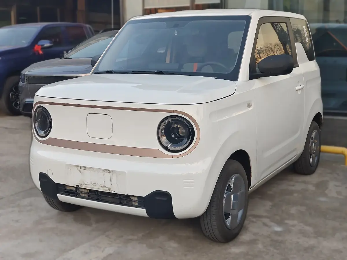 2023 Geely Panda BEV 17.03KWH