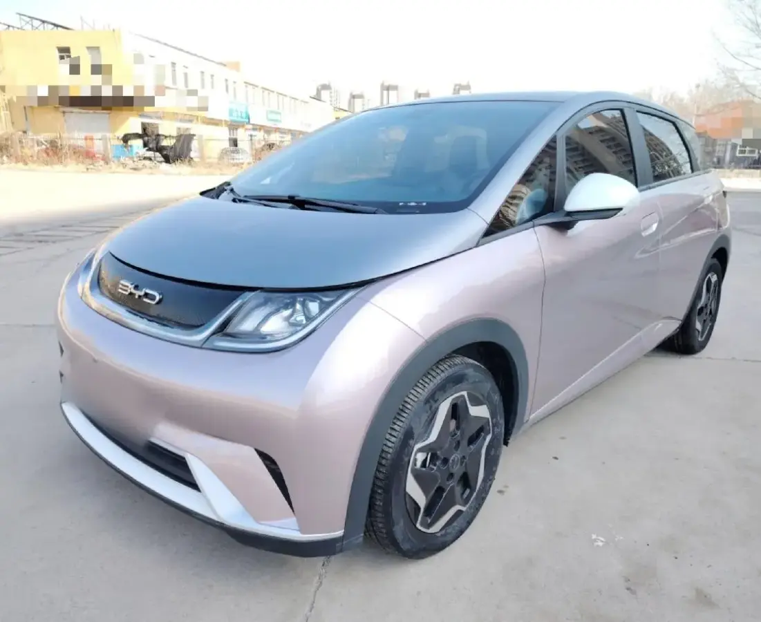2021 BYD Dolphin BEV 44.9KWH
