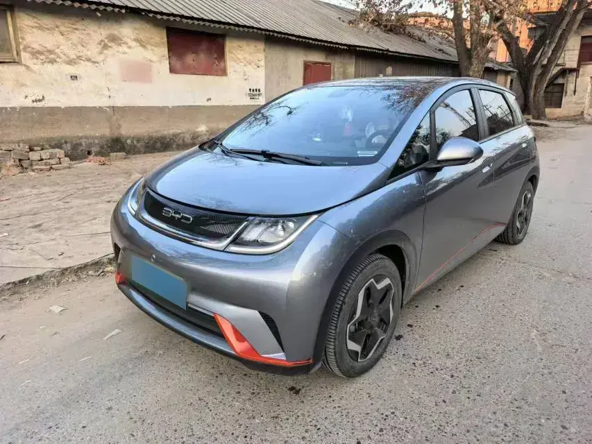 2021 BYD Dolphin BEV 44.9KWH