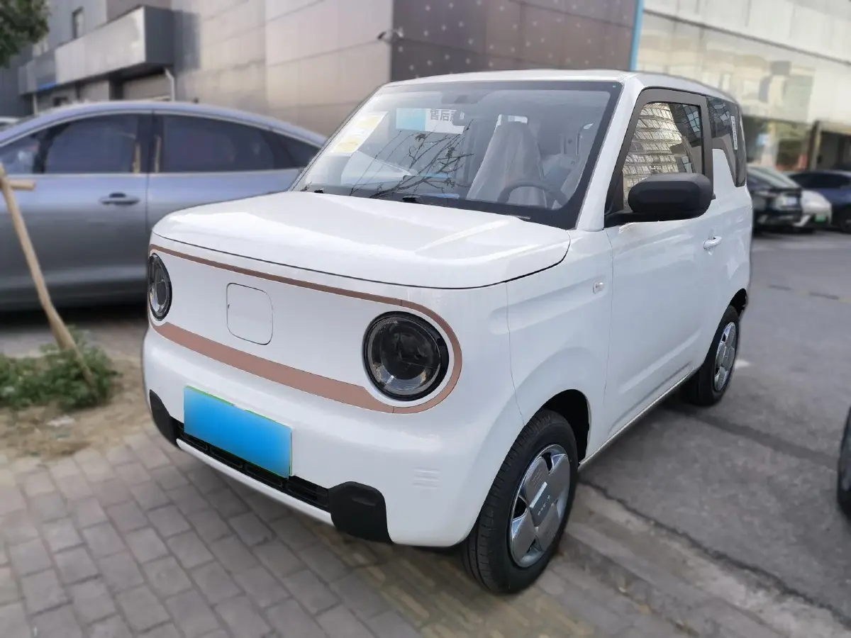 2024 Geely Panda BEV 17.03KWH