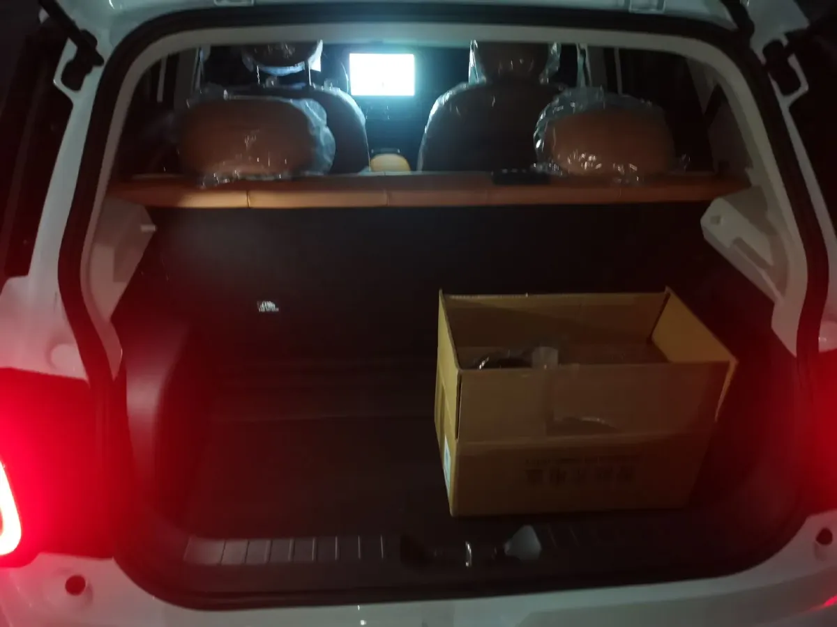 2024 JAC EV YiWei 3 BEV 41KWH,autocango,china used car exporter,china ev exporter,chinese used car exporter,chinese used ev exporter