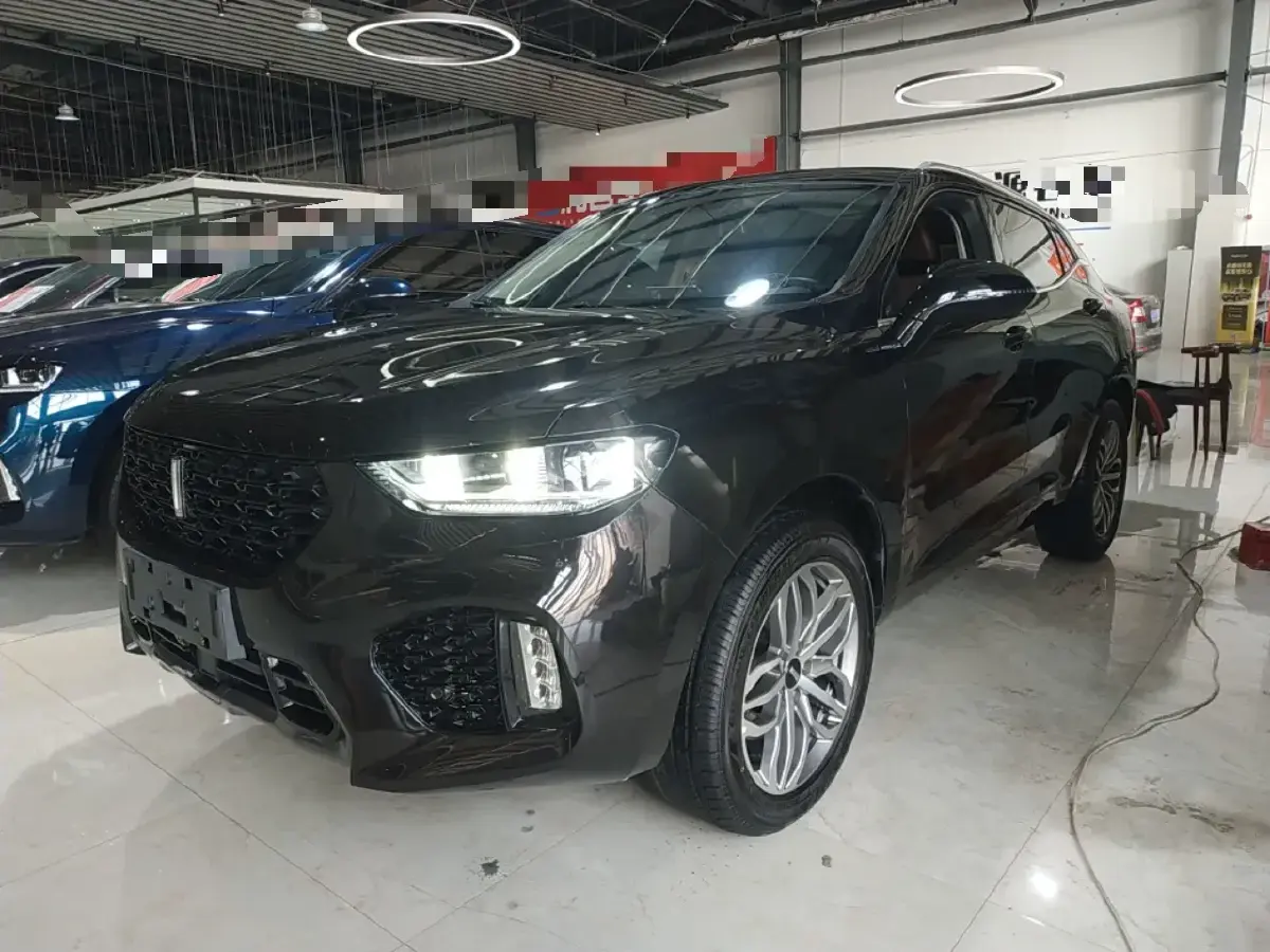 2019 WEY VV5 2.0T 197HP L4 7DCT