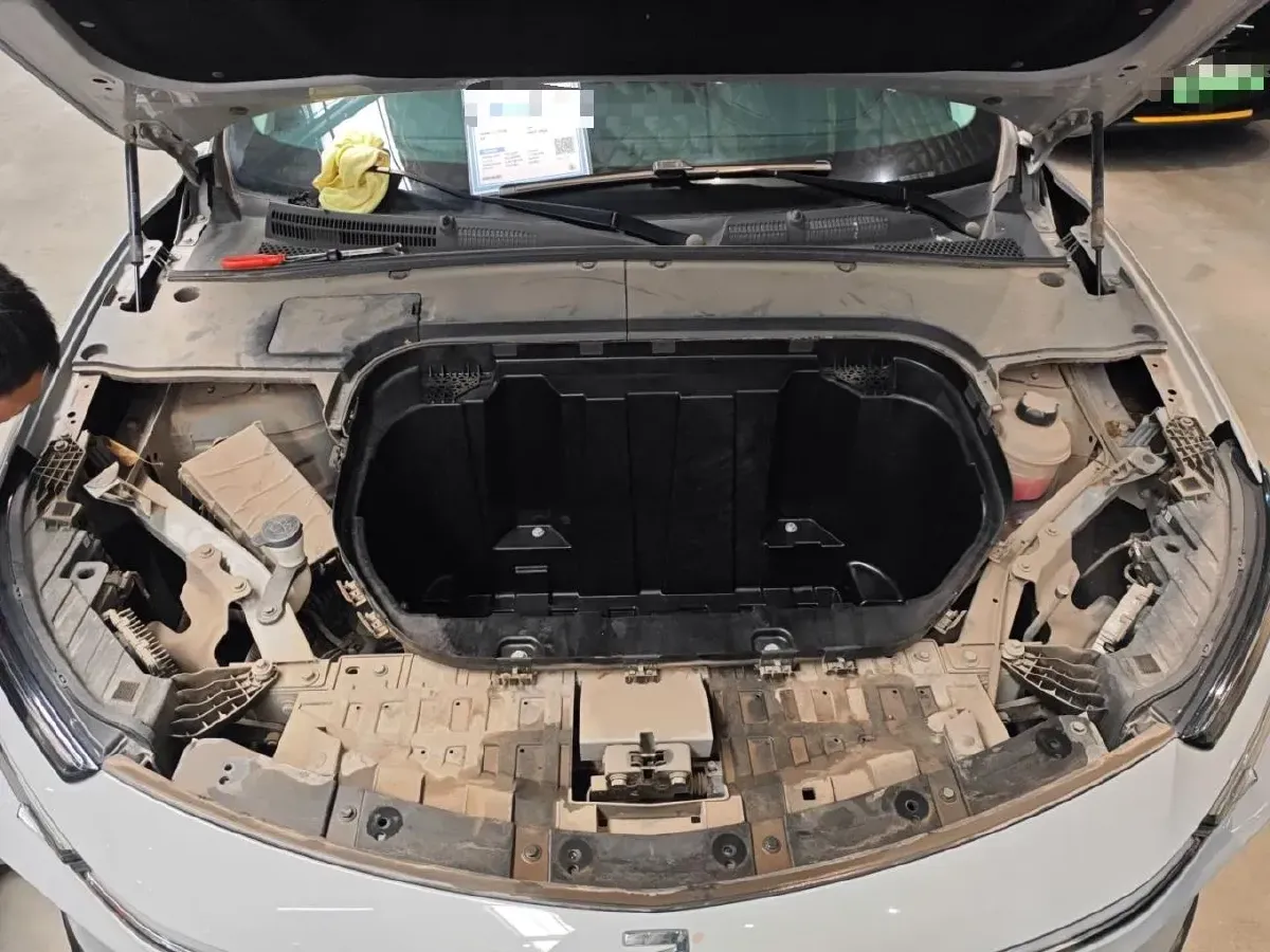 2021 Rising Auto MARVEL R 2AT BEV 69.9KWH,autocango,china used car exporter,china ev exporter,chinese used car exporter,chinese used ev exporter