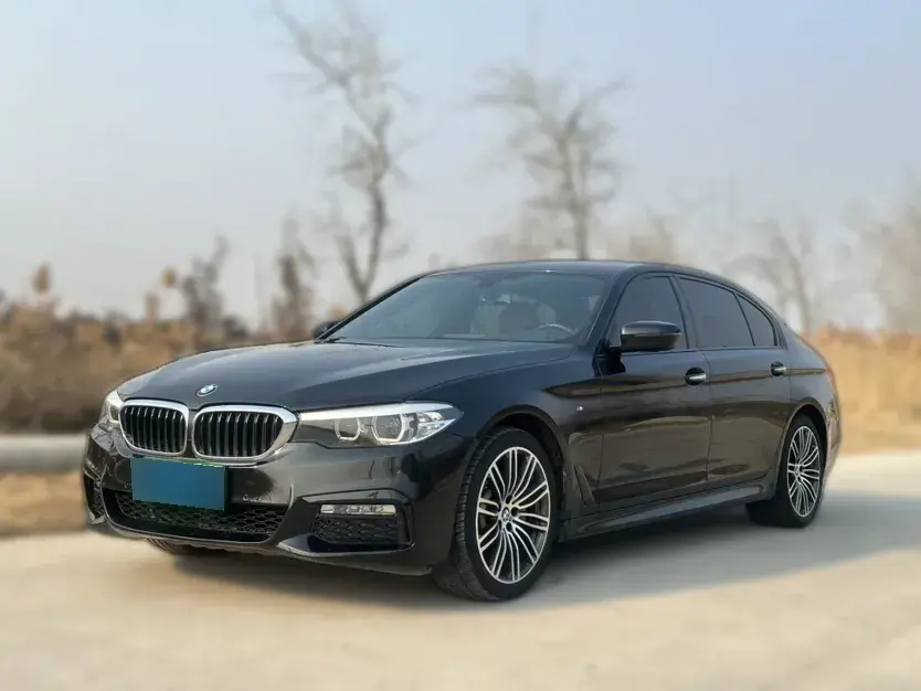 2018 BMW 5 Series 2.0T 252HP L4 8AT