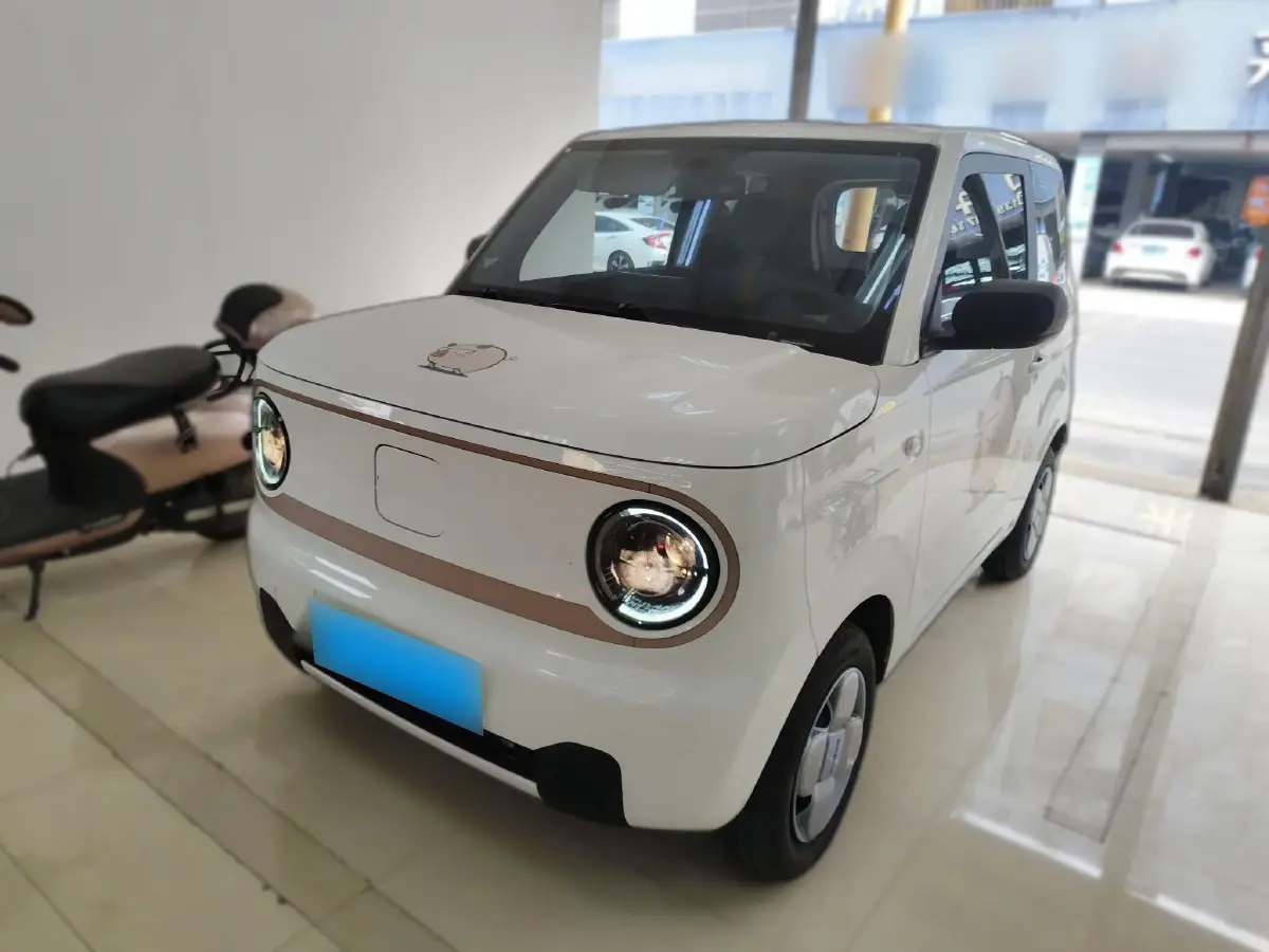 2023 Geely Panda BEV 17.03KWH