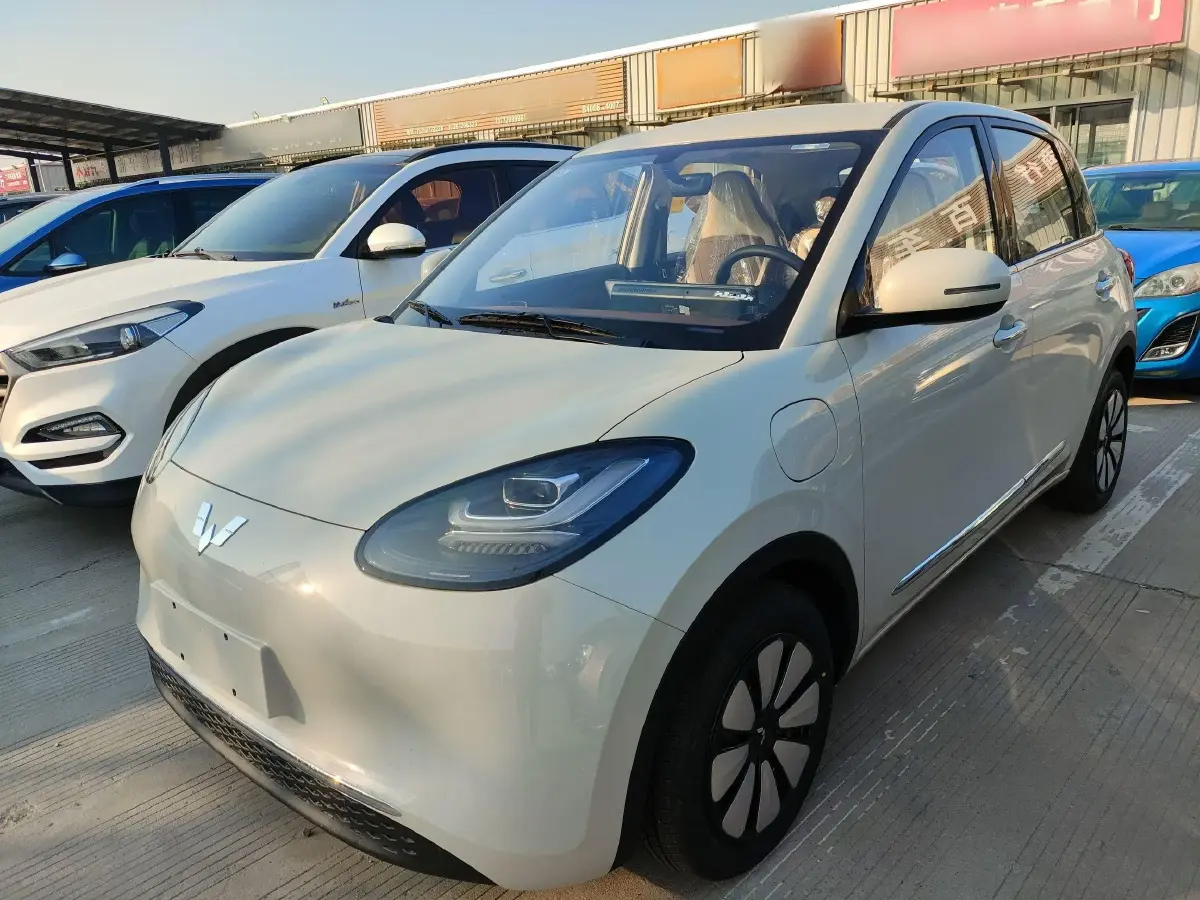 2024 WuLing BinGuo BEV 31.9KWH